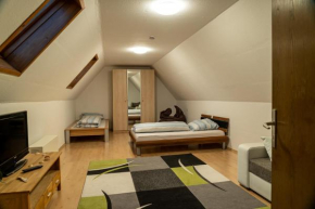 Ferienwohnung Schafbergblick